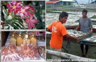 Cutflower and Dried Fish industry captivates business economy of Capiz